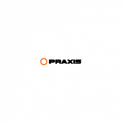 Praxis dealership locations in the USA