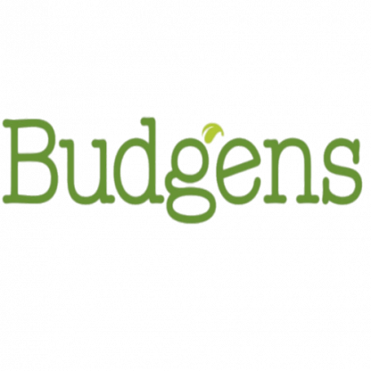 Budgens store locations in the UK