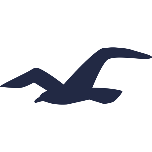 Hollister store locations in the USA