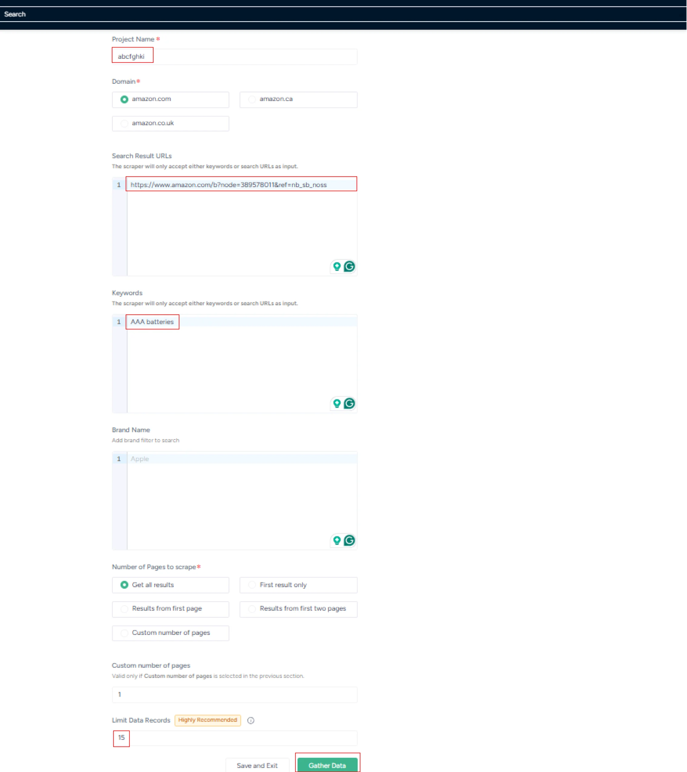 Entering a project name, URL, and other details
