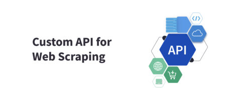 Why Do Businesses Need a Custom API for Web Scraping?