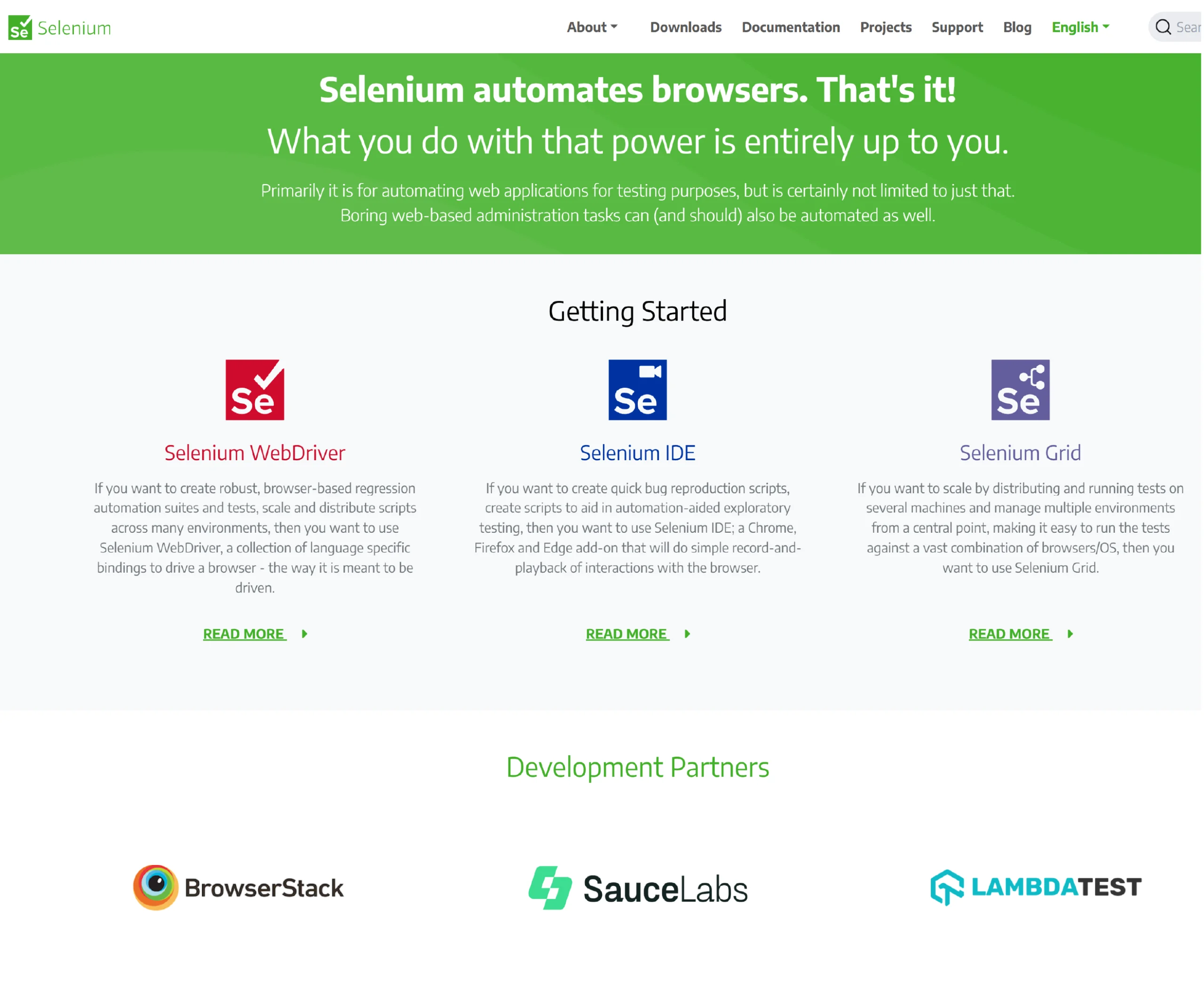  Homepage of Selenium