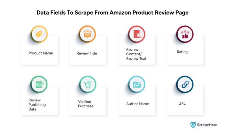 Data fields obtained when scraping Amazon reviews 