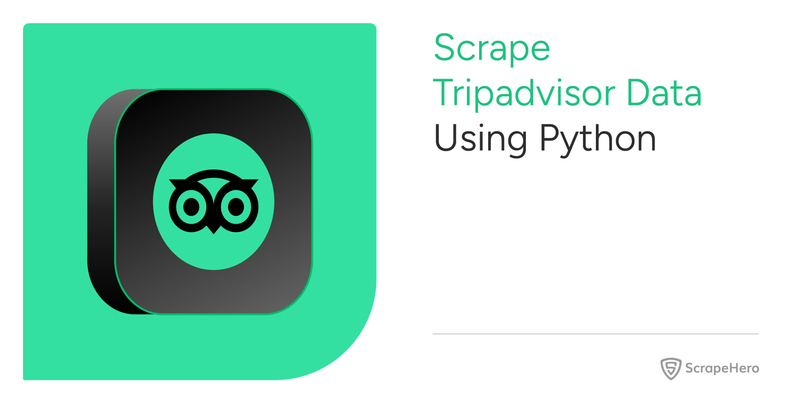 Tripadvisor data scraping