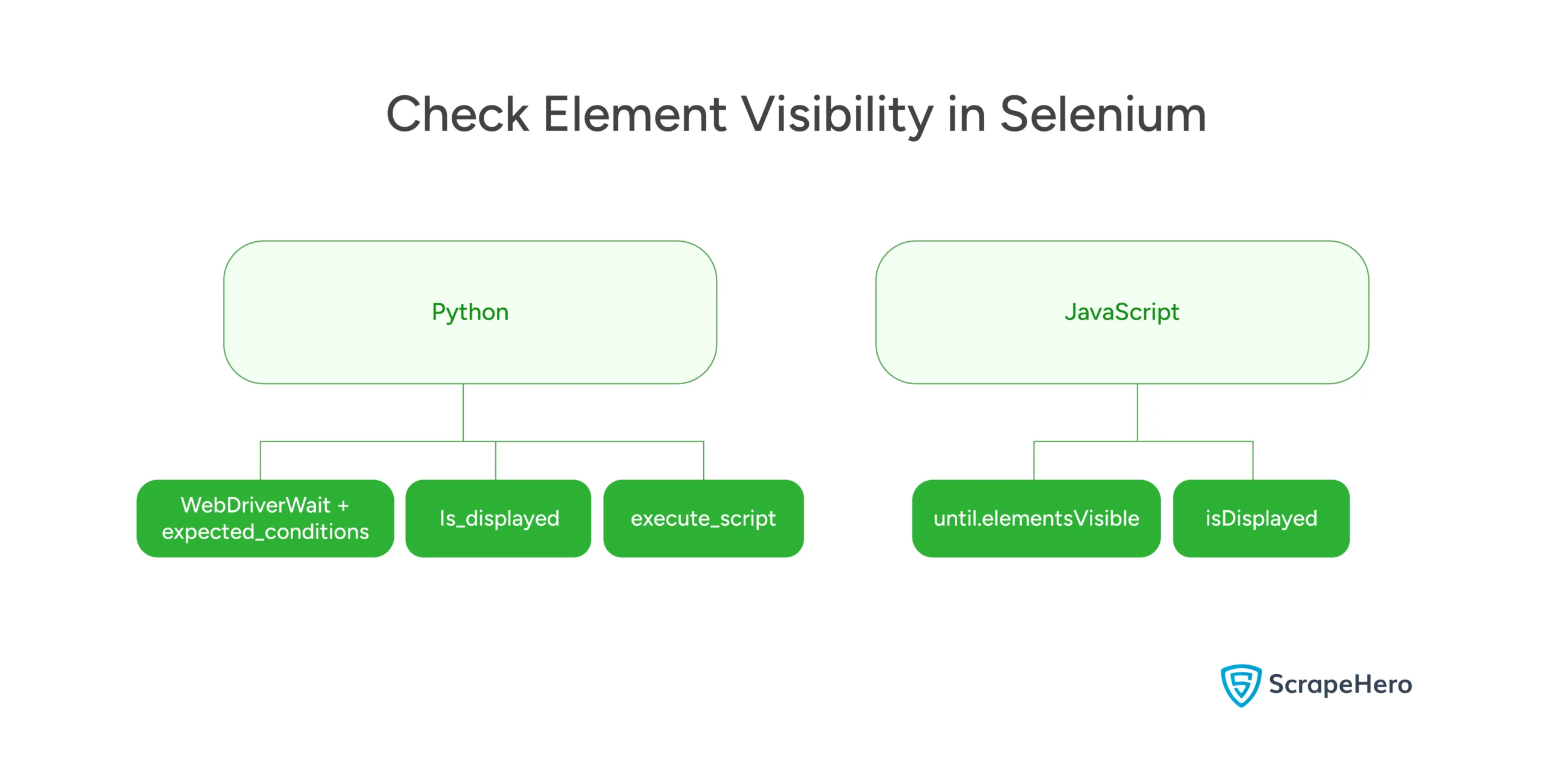 Verifying element visibility in Selenium 